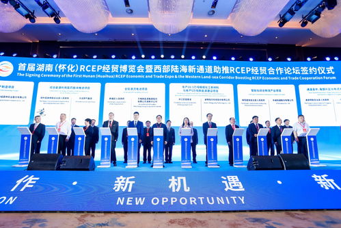 共赴一场开放之约 首届湖南怀化RCEP经贸博览会开幕，经济贸易咨询助力区域合作