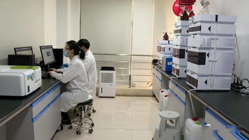 智汇吴中 造优未来 2020苏州吴中太湖经贸合作洽谈会新闻通气会顺利召开